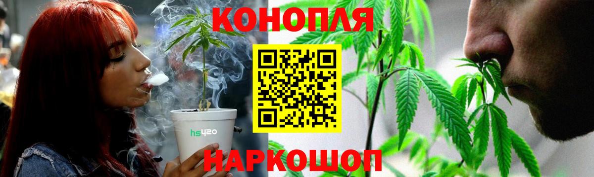 МАРИХУАНА план Ессентуки
